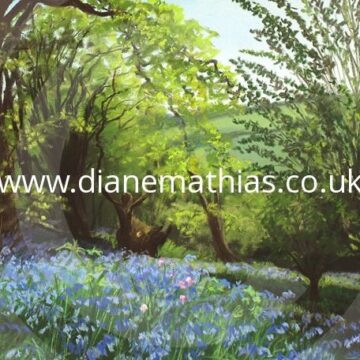 Clychau Glas Yn Y Goedwig