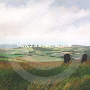 Gwartheg Du ar Mynydd Llanllwni