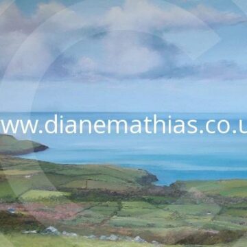 Newport Bay From Carn Ingli