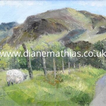 mountain road, Tregaron