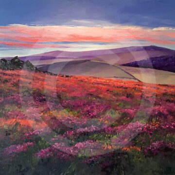 Mynydd Caregog, Preseli Mountains